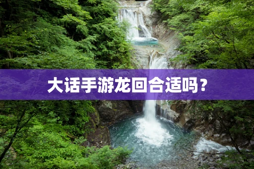 大话手游龙回合适吗？