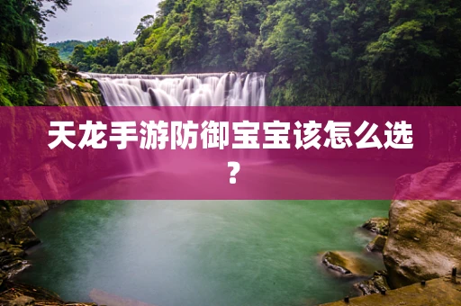 天龙手游防御宝宝该怎么选？