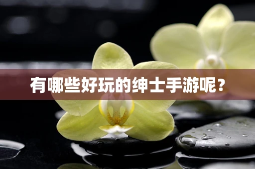 有哪些好玩的绅士手游呢？