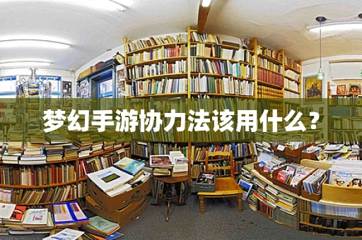 梦幻手游协力法该用什么？