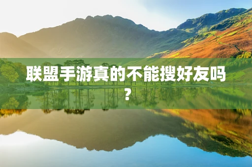 联盟手游真的不能搜好友吗？