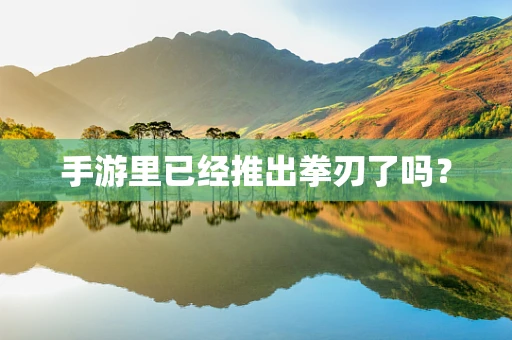 手游里已经推出拳刃了吗？