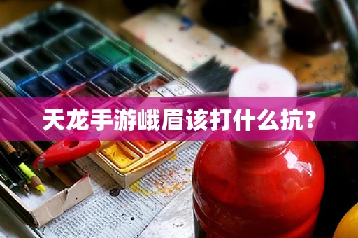 天龙手游峨眉该打什么抗？