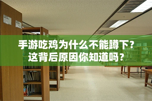 手游吃鸡为什么不能蹲下？这背后原因你知道吗？