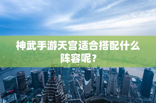神武手游天宫适合搭配什么阵容呢？