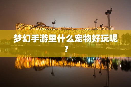 梦幻手游里什么宠物好玩呢？