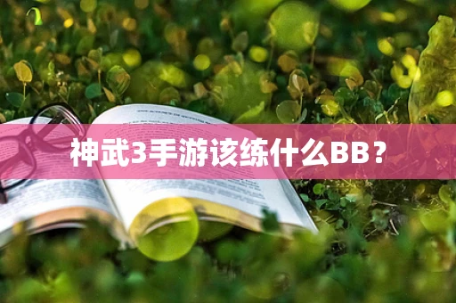 神武3手游该练什么BB？
