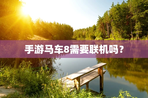 手游马车8需要联机吗？