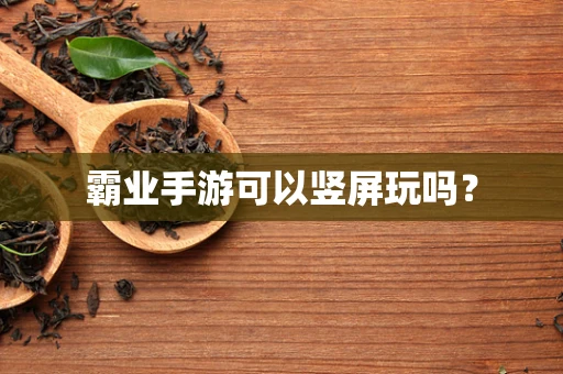 霸业手游可以竖屏玩吗？