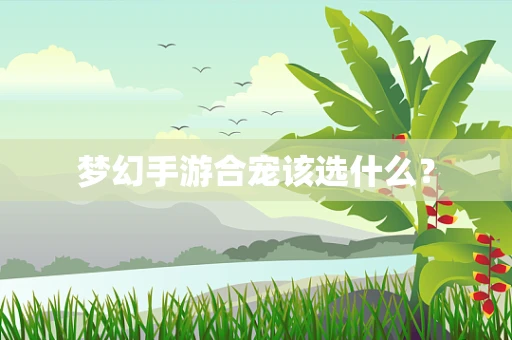 梦幻手游合宠该选什么？