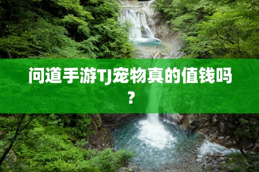 问道手游TJ宠物真的值钱吗？
