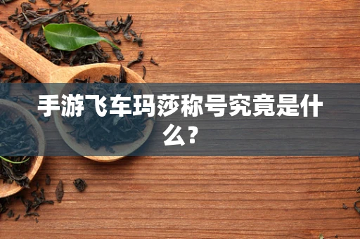 手游飞车玛莎称号究竟是什么？
