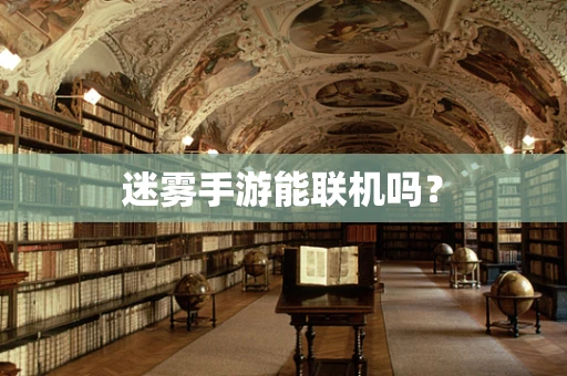 迷雾手游能联机吗？
