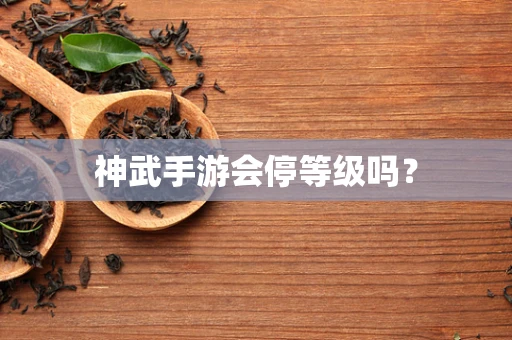 神武手游会停等级吗？