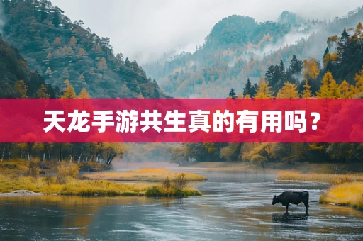 天龙手游共生真的有用吗？