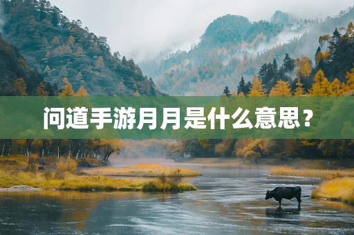 问道手游月月是什么意思？