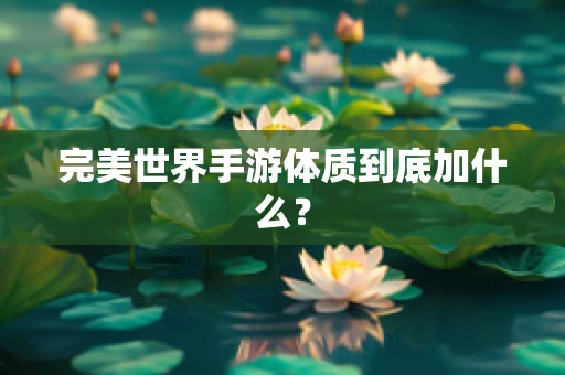 完美世界手游体质到底加什么？