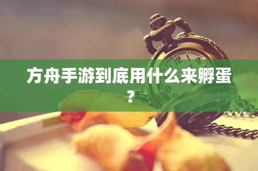 方舟手游到底用什么来孵蛋？