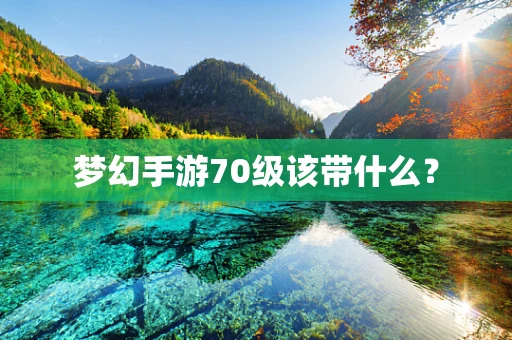 梦幻手游70级该带什么？