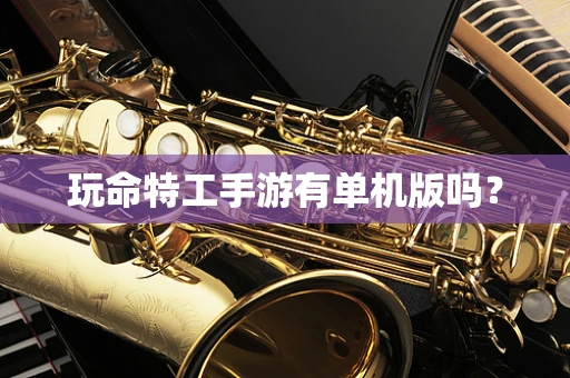 玩命特工手游有单机版吗？
