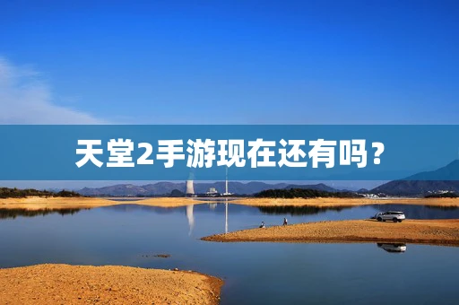 天堂2手游现在还有吗？