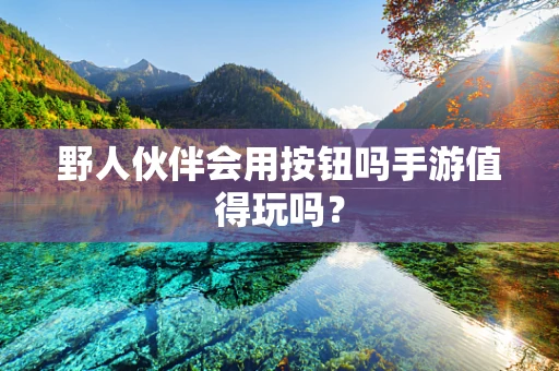 野人伙伴会用按钮吗手游值得玩吗？