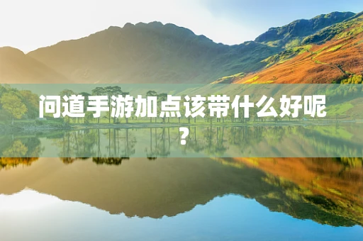 问道手游加点该带什么好呢？