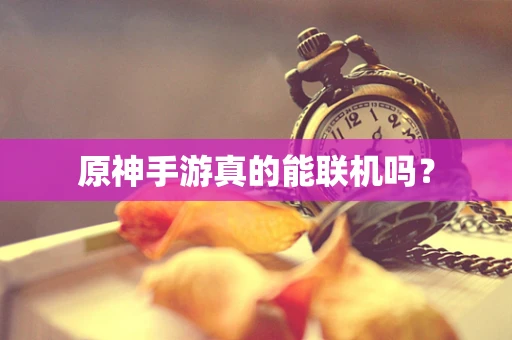 原神手游真的能联机吗？