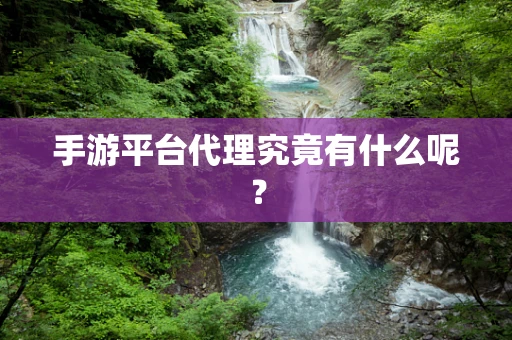 手游平台代理究竟有什么呢？