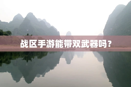 战区手游能带双武器吗？