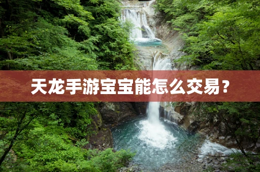 天龙手游宝宝能怎么交易？