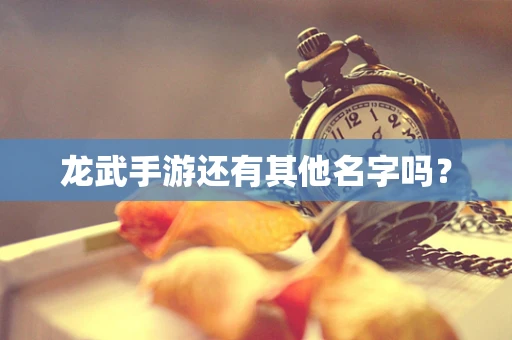 龙武手游还有其他名字吗？