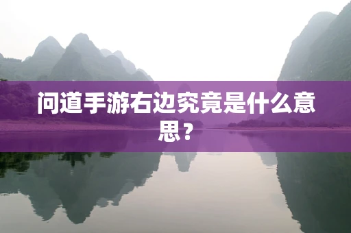 问道手游右边究竟是什么意思？