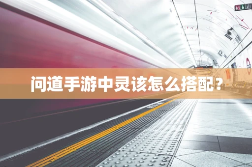 问道手游中灵该怎么搭配？