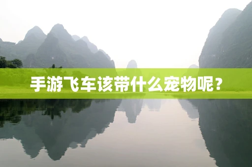 手游飞车该带什么宠物呢？