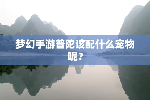梦幻手游普陀该配什么宠物呢？