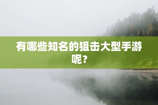 有哪些知名的狙击大型手游呢？
