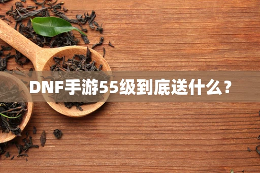 DNF手游55级到底送什么？