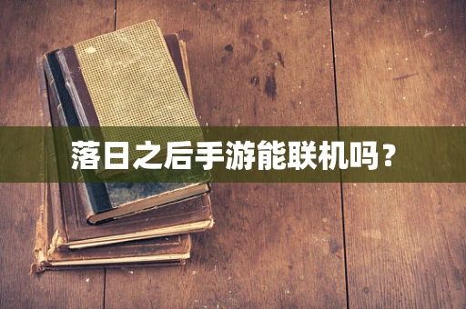 落日之后手游能联机吗？