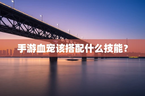 手游血宠该搭配什么技能？