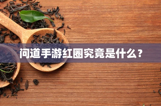 问道手游红圈究竟是什么？
