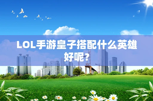 LOL手游皇子搭配什么英雄好呢？