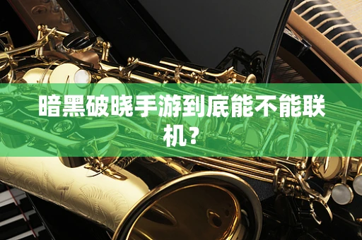 暗黑破晓手游到底能不能联机？