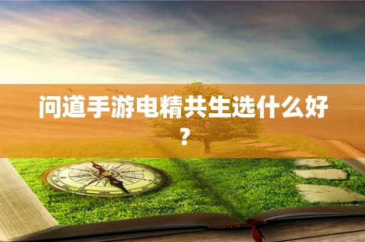 问道手游电精共生选什么好？