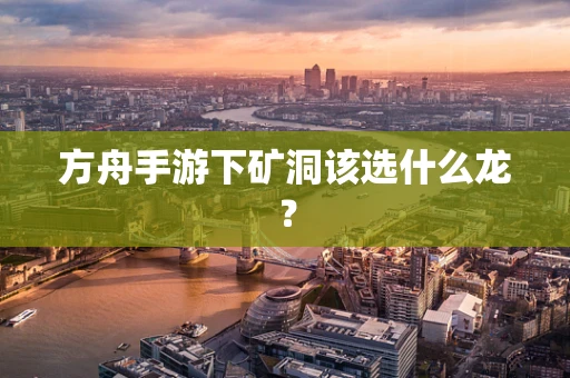 方舟手游下矿洞该选什么龙？