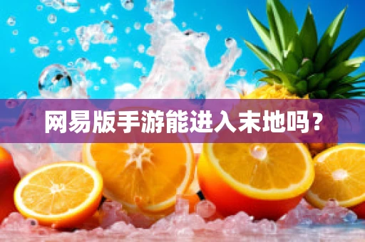 网易版手游能进入末地吗？