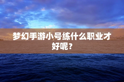 梦幻手游小号练什么职业才好呢？