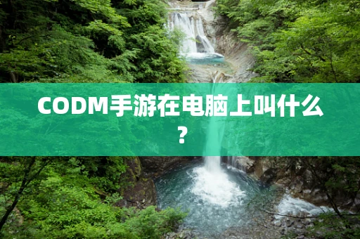 CODM手游在电脑上叫什么？