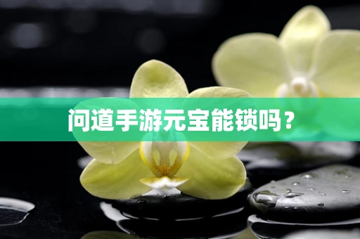 问道手游元宝能锁吗？