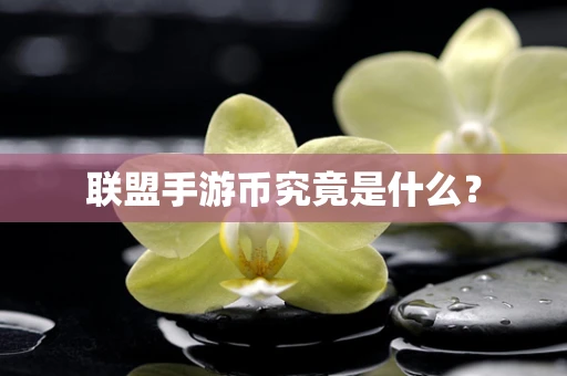 联盟手游币究竟是什么？